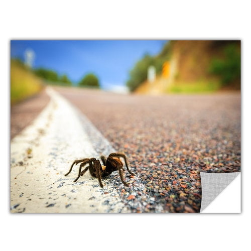 Cody York "Tarantula" Removable Wall Art Graphic