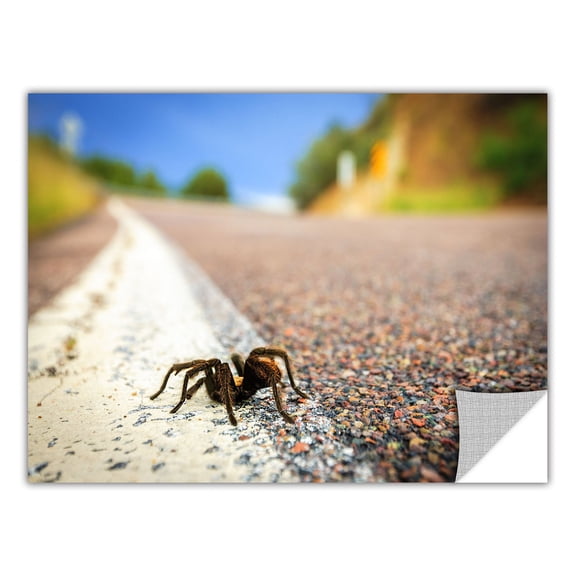 Cody York "Tarantula" Removable Wall Art Graphic