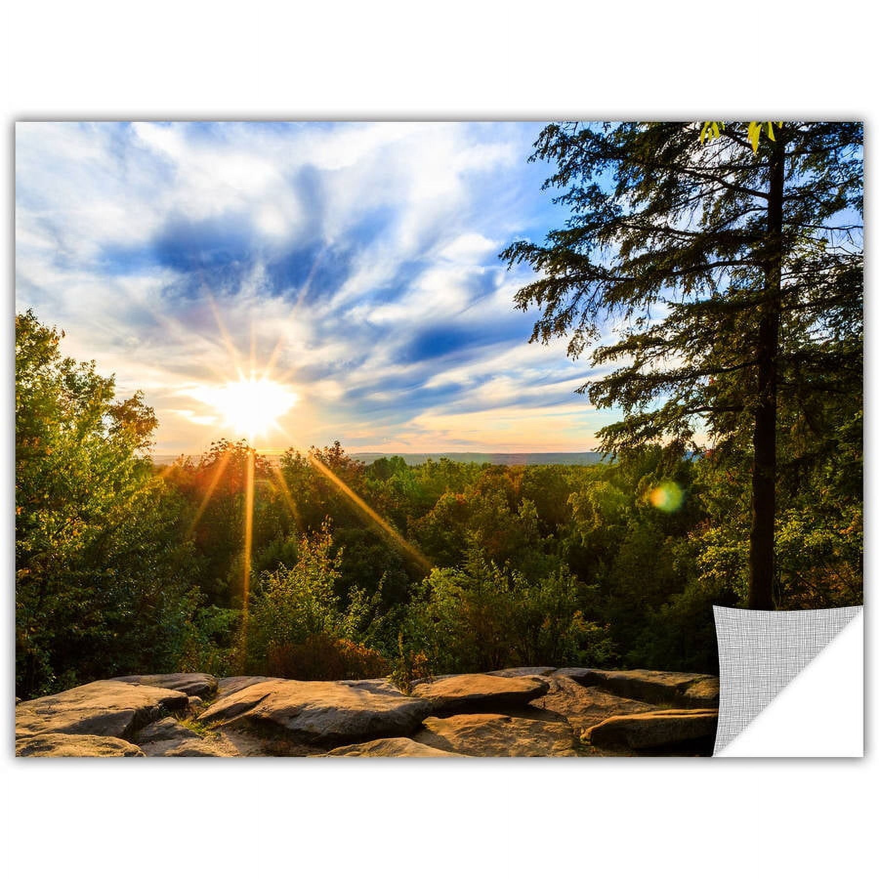 Cody York "Virginia Kendall 2" Removable Wall Art Graphic