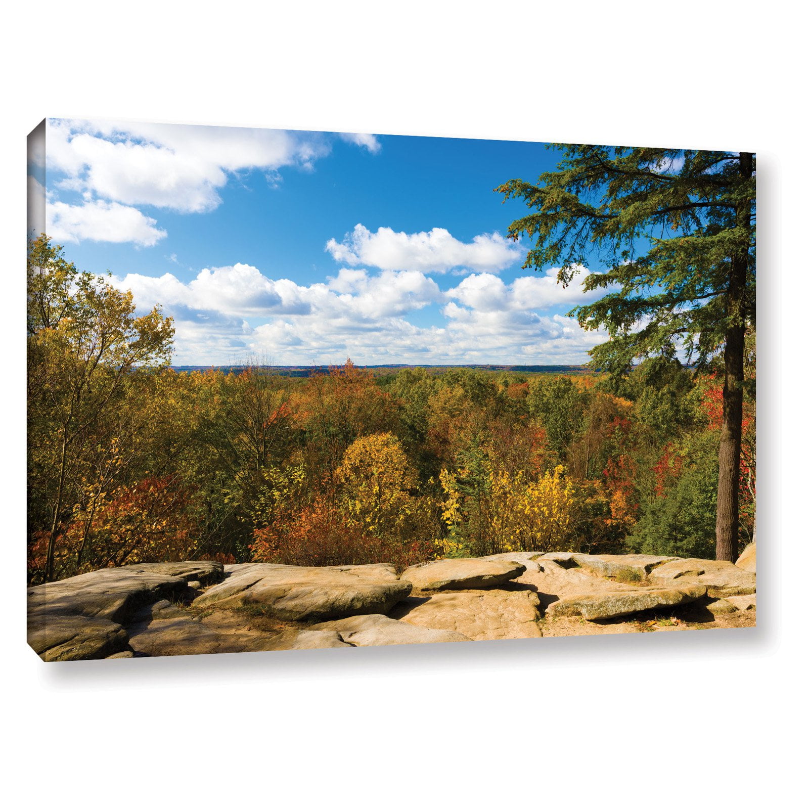 Cody York "Virginia Kendall" Gallery-Wrapped Canvas
