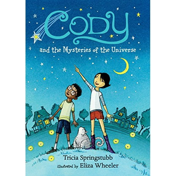 Pre-Owned Cody and the Mysteries of Universe Paperback Tricia Springstubb