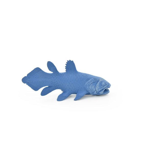 Coelacanth, Fish, Saltwater Fish, Rubber Fish, Hand Painted, Realistic, Figure, Model, Replica, Toy, Kids, Educational, Gift, 3" F4233 B376