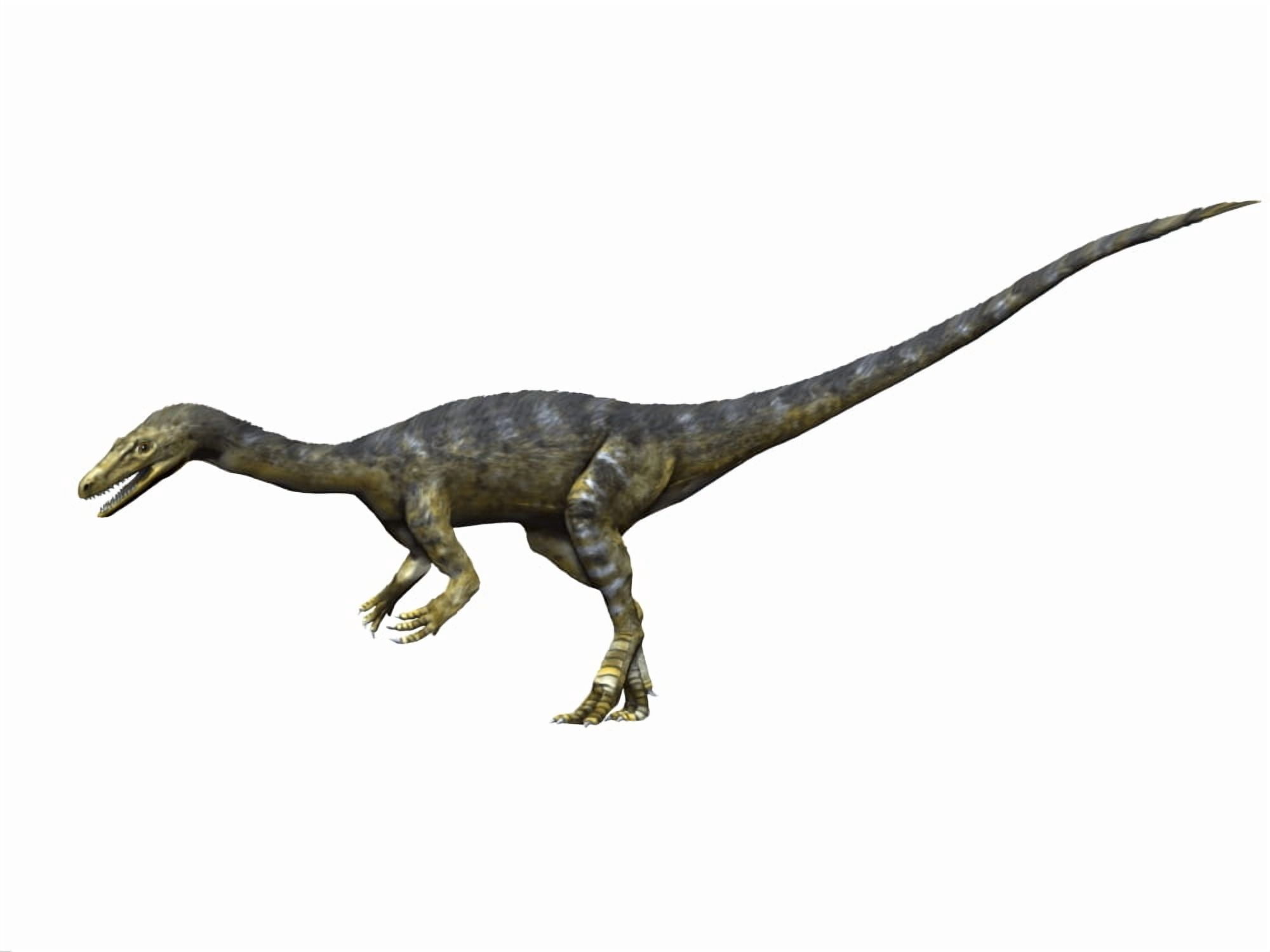 Coelophysis dinosaur Canvas Art - Nobumichi TamuraStocktrek Images (33 x 25)