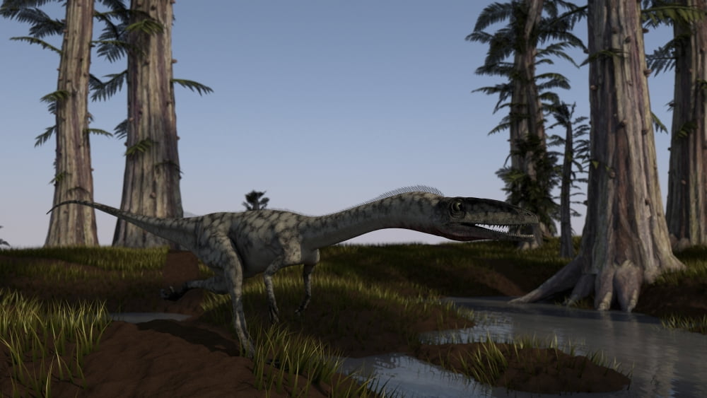 Coelophysis dinosaur running Canvas Art - Kostyantyn IvanyshenStocktrek Images (38 x 22)