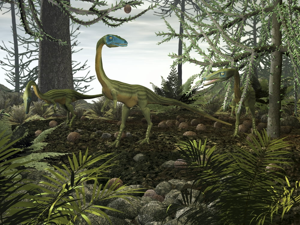 Coelophysis dinosaurs walk amongst a forest Canvas Art - Walter MyersStocktrek Images (17 x 13)