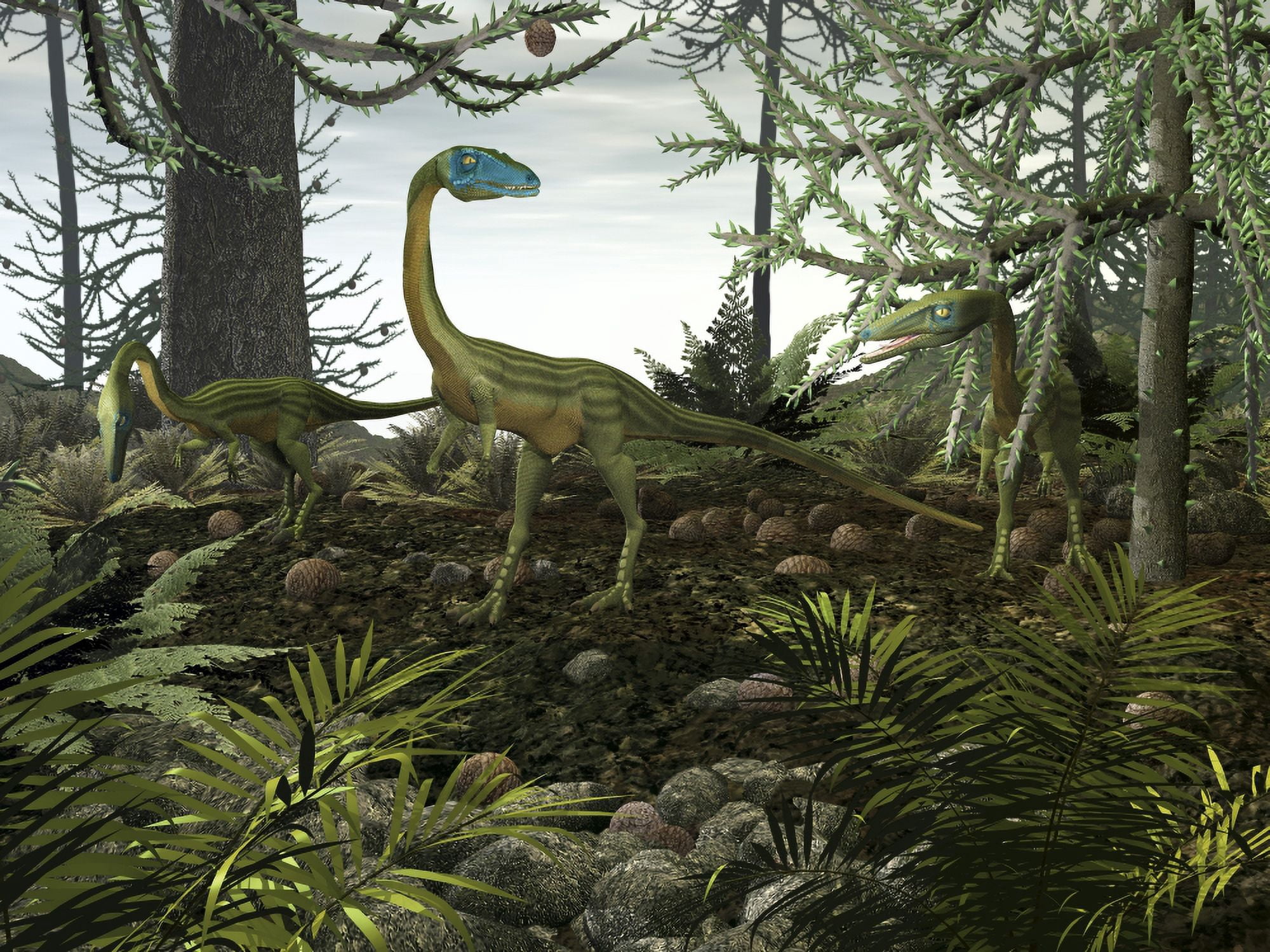 Coelophysis dinosaurs walk amongst a forest Canvas Art - Walter MyersStocktrek Images (33 x 25)