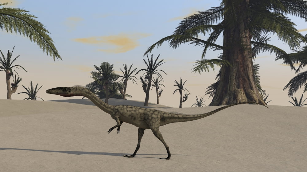 Coelophysis in a desert landscape Canvas Art - Kostyantyn IvanyshenStocktrek Images (38 x 22)