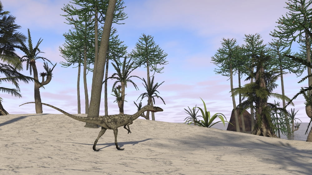 Coelophysis in a tropical environment Canvas Art - Kostyantyn IvanyshenStocktrek Images (19 x 11)
