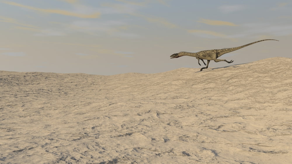 Coelophysis running across a barren desert Canvas Art - Kostyantyn IvanyshenStocktrek Images (38 x 22)