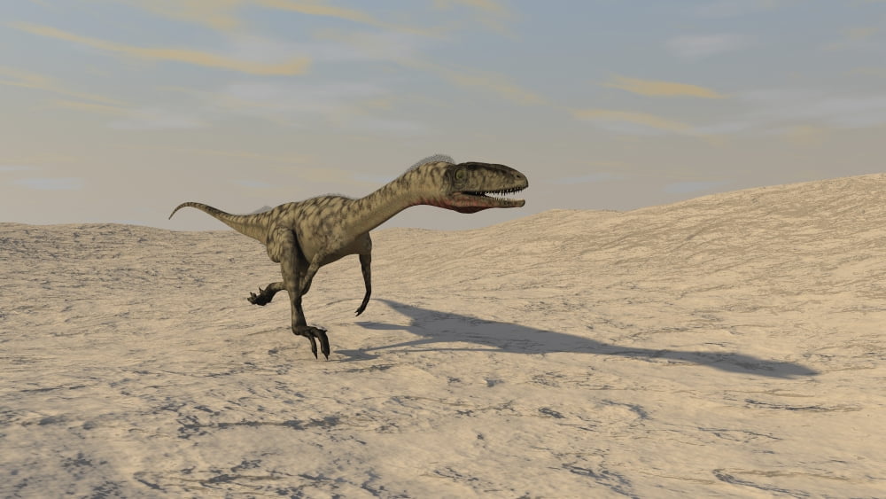 Coelophysis running across a barren desert Canvas Art - Kostyantyn IvanyshenStocktrek Images (38 x 22)