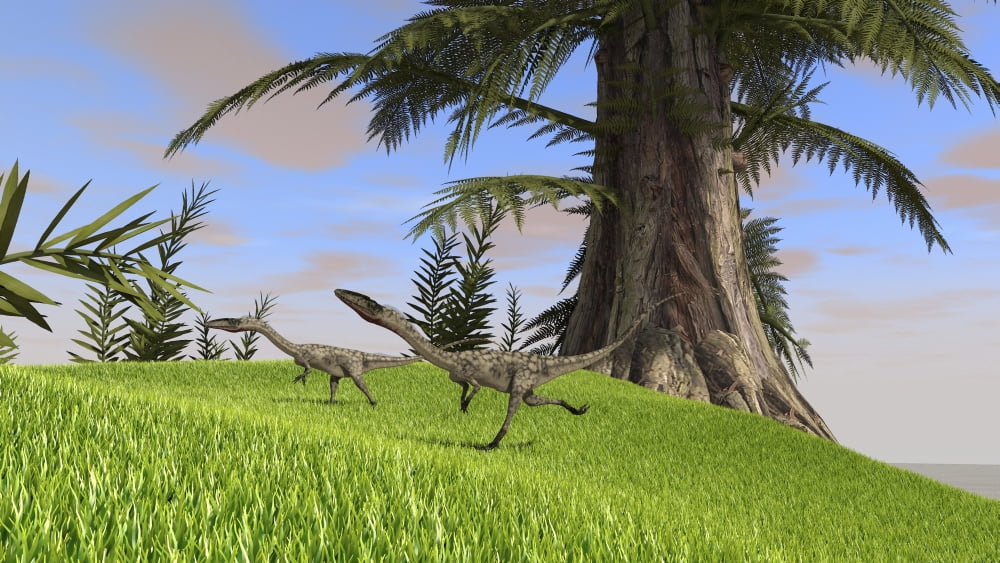 Coelophysis running across an open field Canvas Art - Kostyantyn IvanyshenStocktrek Images (19 x 11)