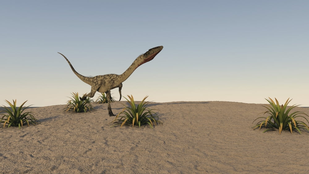 Coelophysis running across desert terrain Canvas Art - Kostyantyn IvanyshenStocktrek Images (19 x 11)
