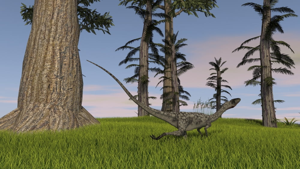 Coelophysis running through a grassy field Canvas Art - Kostyantyn IvanyshenStocktrek Images (19 x 11)