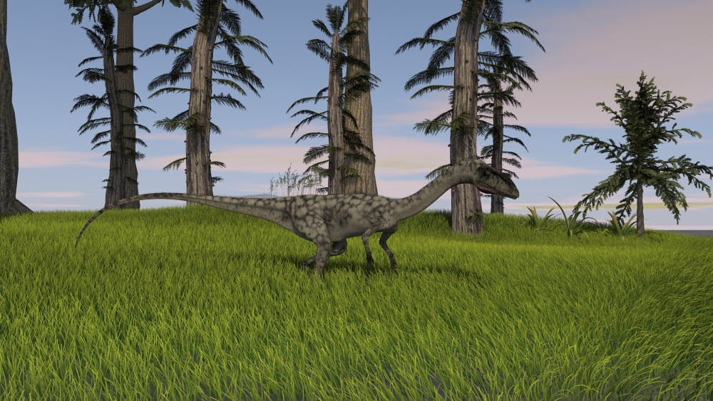 Coelophysis running through a grassy field Canvas Art - Kostyantyn IvanyshenStocktrek Images (38 x 22)