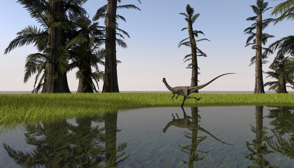 Coelophysis running through swampy water Canvas Art - Kostyantyn IvanyshenStocktrek Images (19 x 11)