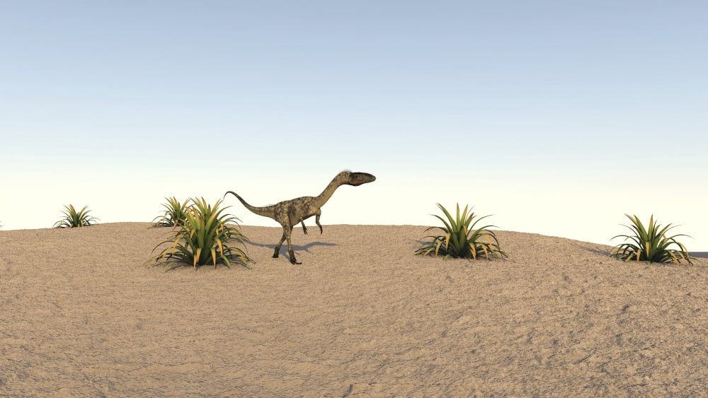 Coelophysis walking across a barren landscape Canvas Art - Kostyantyn IvanyshenStocktrek Images (38 x 22)