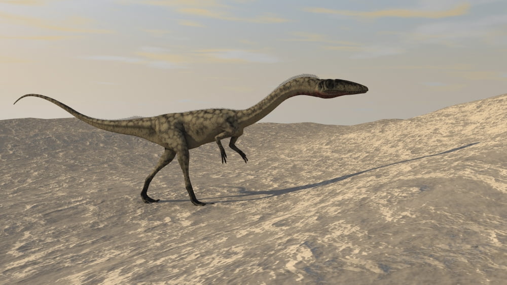 Coelophysis walking through a desert environment Canvas Art - Kostyantyn IvanyshenStocktrek Images (38 x 22)