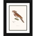thumbnail image 1 of Coenraad Jacob Temminck 11x14 Black Ornate Wood Framed Double Matted Museum Art Print Titled: Boat Hornown (1838), 1 of 5
