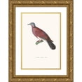 thumbnail image 1 of Coenraad Jacob Temminck 11x14 Gold Ornate Wood Frame and Double Matted Museum Art Print Titled - Terrestrial Female Plugs (1838), 1 of 4