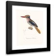 thumbnail image 1 of Coenraad Jacob Temminck 14x18 Black Modern Framed Museum Art Print Titled - Martin-Chasseur Oreillon-Bleu (1838), 1 of 5