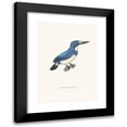 thumbnail image 1 of Coenraad Jacob Temminck 14x18 Black Modern Framed Museum Art Print Titled - Martin Fisher Double-Eeil. (1838), 1 of 5