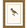 thumbnail image 1 of Coenraad Jacob Temminck 14x18 Gold Ornate Wood Frame and Double Matted Museum Art Print Titled - Fire Oxyrhynch (1838), 1 of 4