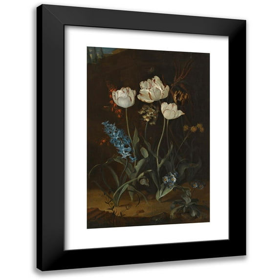 Coenraet Roepel 11x14 Black Modern Framed Museum Art Print Titled - Still Life with Tulips and Hyacinth