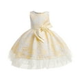 thumbnail image 1 of Coerni Baby Toddler Girls Sleeveless Floral Mesh Tutu Princess Dress Prom Party Dress Tulle Bow Dress 3 To 10 Years, 1 of 9
