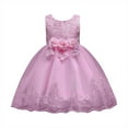 thumbnail image 1 of Coerni Girl's Wedding Parties Dress | Flower Girl Dress | Sleeveless Lace Embroidery Formal Gown Princess Pageant Dresses, 1 of 4