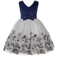 thumbnail image 1 of Coerni Girls Baby Blue Sleeveless Mesh Three Flowers Sequins Bow Dress Dress Dresses Baby Girl 1st Birthday Dress, 1 of 8
