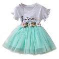 thumbnail image 1 of Coerni Girls Casual Dresses Outfits Ruffle Short Sleeve T Shirt Top Floral Embroidery Tutu Tulle Dress Set Summer Clothes, 1 of 9