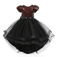 thumbnail image 1 of Coerni Kids Children Toddler Baby Girls Spring Summer Tulle Sequins Glitter Dress For Performance for Girls 5 Years Old, 1 of 5