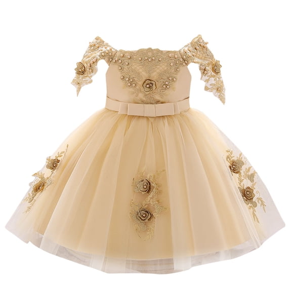 Coerni Parties Flower Girl Dress | Baby Girl Lace Embroidery Tulle Pageant Prom Gown Birthday Wedding Princess Formal Dress