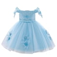 thumbnail image 1 of Coerni Parties Flower Girl Dress | Baby Girl Lace Embroidery Tulle Pageant Prom Gown Birthday Wedding Princess Formal Dress, 1 of 5