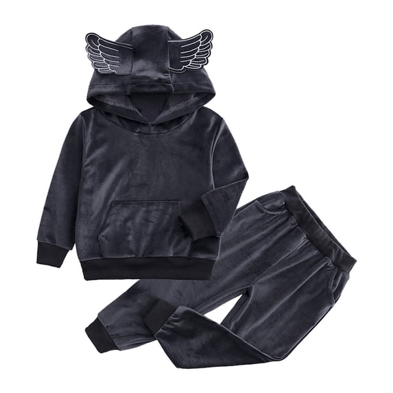 Coerni Toddler Baby Boy Girl Clothes Long Sleeve Sweatshirts Pants Athletic Crewneck Hoodie Top Fall Winter 2Pcs Outfits