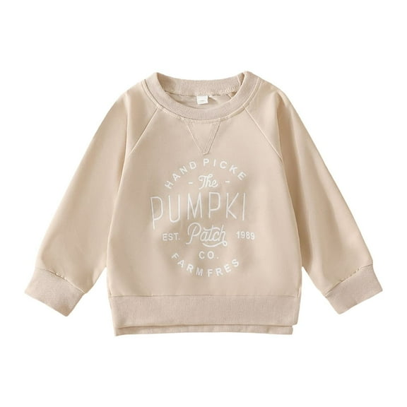 Coerni Toddler Baby Boy Girl Sweatshirt Fall Winter Graphic Long Sleeve T-Shirt Kids Vintage Lightweight Pullover Tops