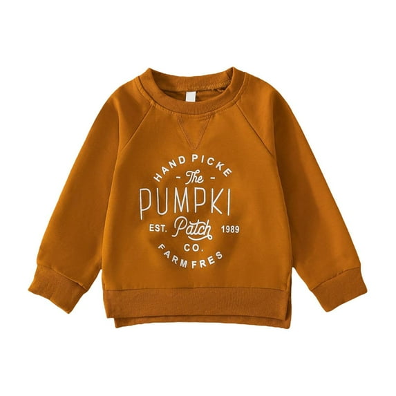 Coerni Toddler Baby Boy Girl Sweatshirt Fall Winter Graphic Long Sleeve T-Shirt Kids Vintage Lightweight Pullover Tops