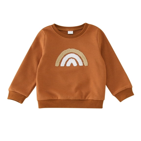 Coerni Toddler Baby Boys Girls Sweatshirt Long Sleeve Tops Casual Autumn Spring Sweatshirts Rainbow Prints Pullover Hoodie