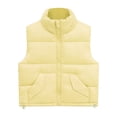thumbnail image 1 of Coerni Toddler Baby Girls Puffer Vest Stand Collar Zip‑Up Quilted Gilet Sleeveless Thick Outerwear Kids Windproof Warm Fall Winter Clothes, 1 of 4