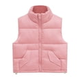 thumbnail image 1 of Coerni Toddler Baby Girls Puffer Vest Stand Collar Zip‑Up Quilted Gilet Sleeveless Thick Outerwear Kids Windproof Warm Fall Winter Clothes, 1 of 4