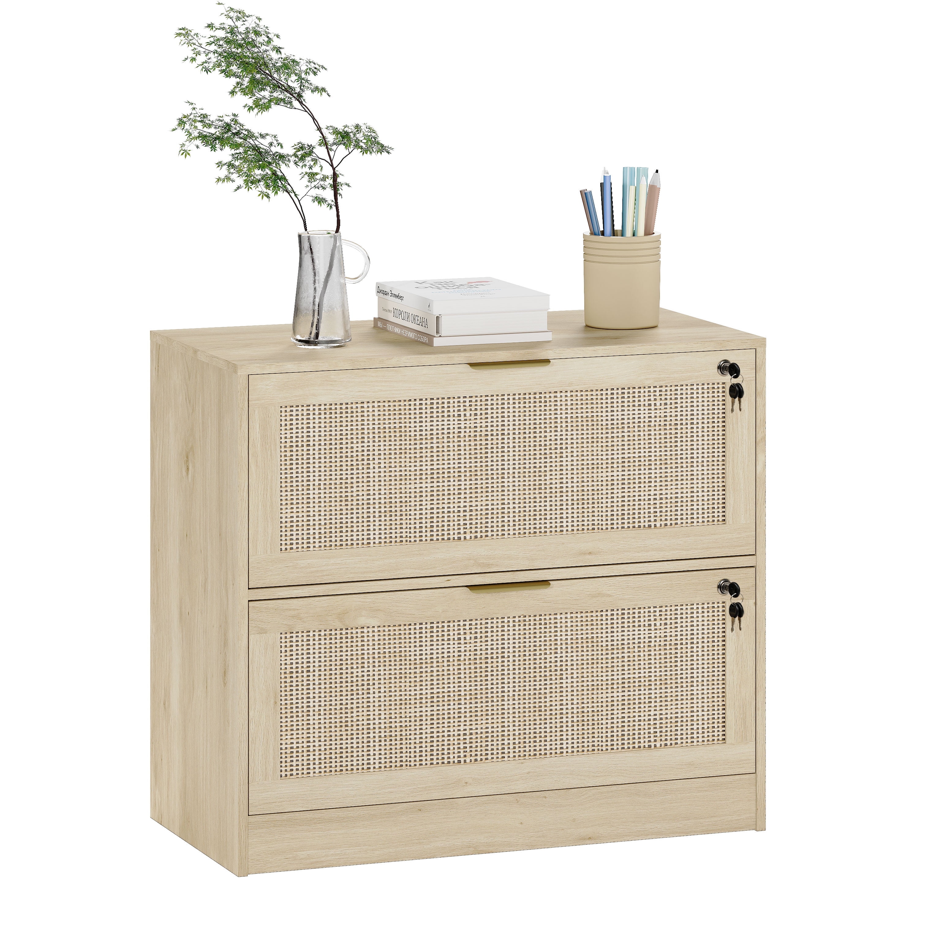 Coewske 2-Drawer File Cabinet Lateral Filing Cabinet Printer Stand w/ Lock Home Office Nature