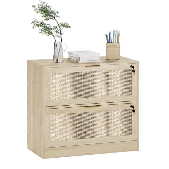 Coewske 2-Drawer File Cabinet Lateral Filing Cabinet Printer Stand w/ Lock Home Office Nature