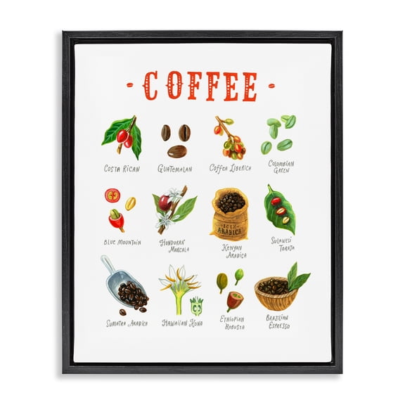Stupell Industries Coffee Beans Origins Black Framed Floater Canvas Wall Art, design by Angela Steahling