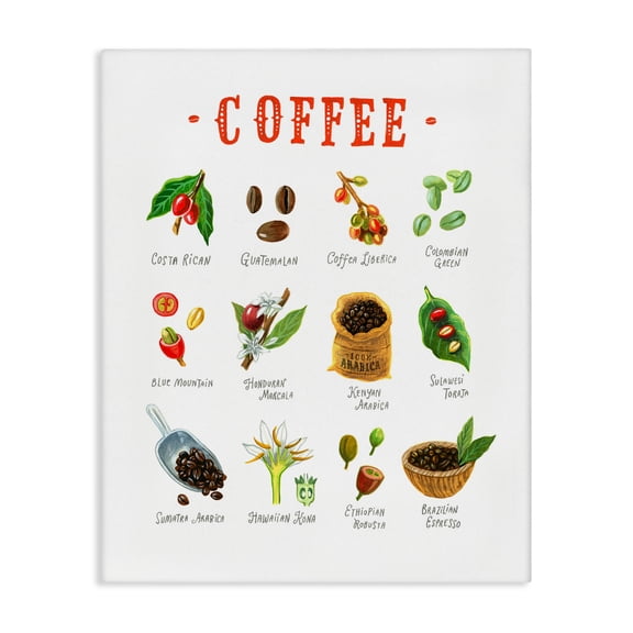 Stupell Industries Coffee Beans Origins Canvas Wall Art, design by Angela Steahling