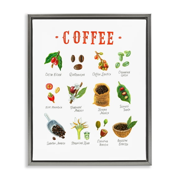 Stupell Industries Coffee Beans Origins Gray Framed Floater Canvas Wall Art, design by Angela Steahling