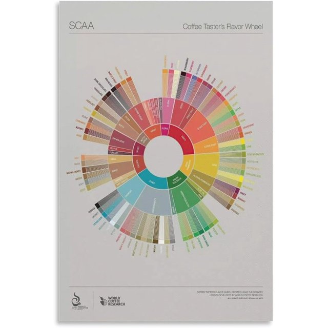 Coffee Sommelier Flavor Poster Cafe Home Kitchen Bar Decor Funny Poster