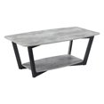 thumbnail image 1 of Coffee Table, Faux Birch - 47.25 x 23.75 x 18 in., 1 of 1