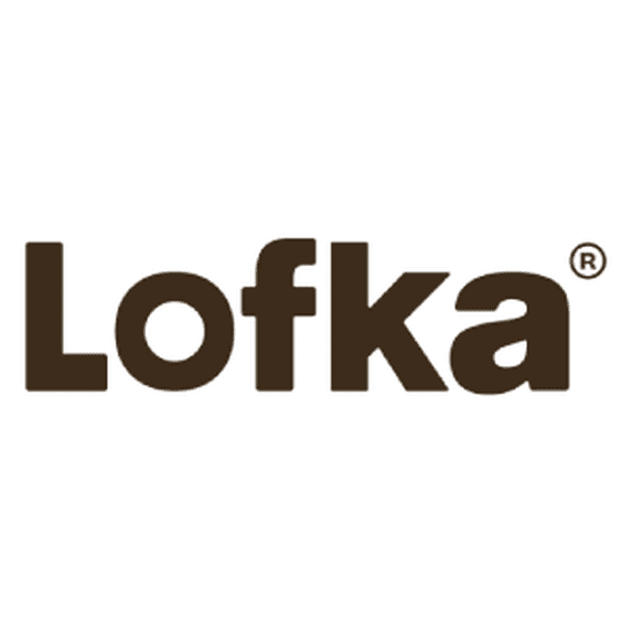 Lofka Queen Bed Frame