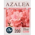 thumbnail image 1 of Coffee Table Picture Book - Flowers - Over 200 HD Images: Azalea: Coffee Table Picture Book (Paperback), 1 of 1