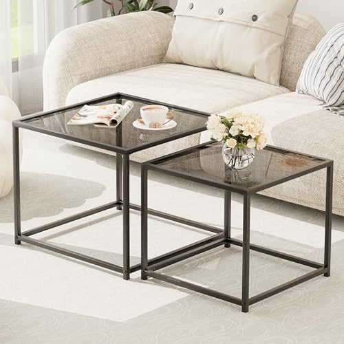 Coffee Table Set of 2, Modern Glass Nesting Table, Metal Frame Square ...